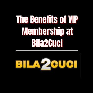 The Benefits of VIP Membership at Bila2Cuci - Logo - bila2cuci0